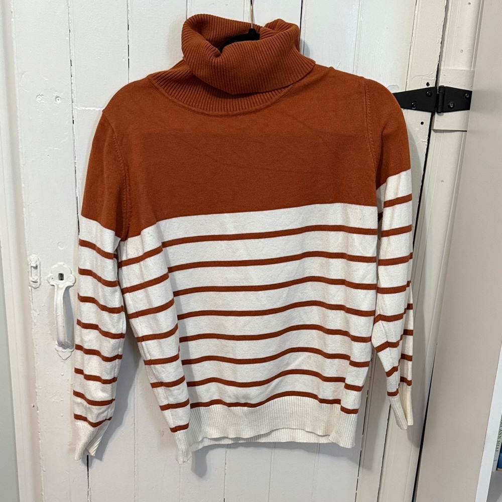Striped Turtleneck Sweater in Rust and White